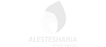 Brand Name : Brand Short Description Type Here.